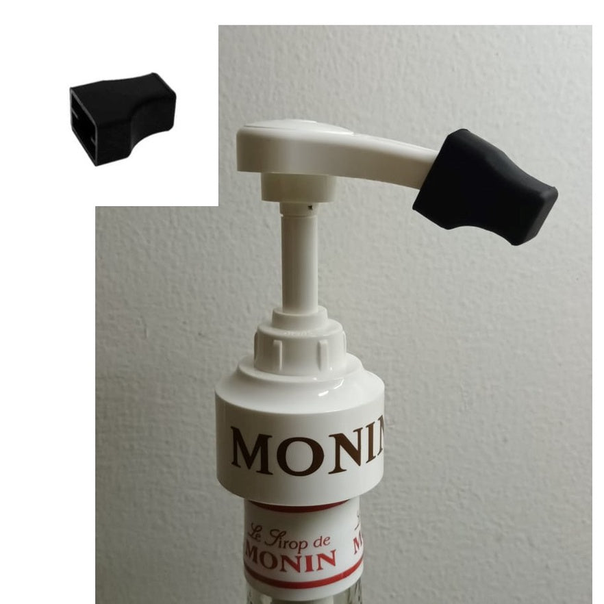 Monin Pumps